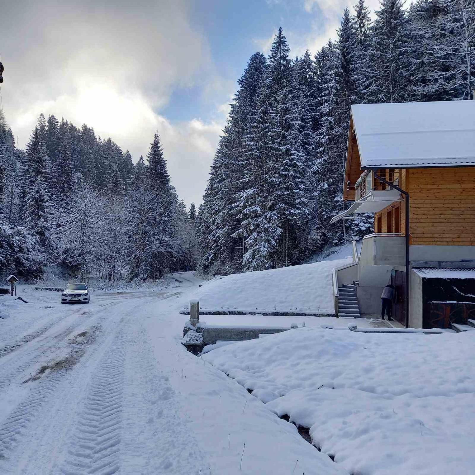 Hisa Lunna - Apartments In A Forest Paradise Vitanje Exterior foto